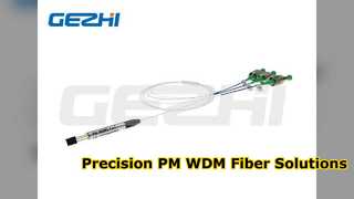Multiplexor de fibra óptica de precisión WDM fusionado PM