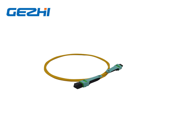 comprar LC OM3/OM4 8/12/24f MPO/MTP Cordón de parche de fibra óptica para telecomunicaciones y centros de datos online manufacture