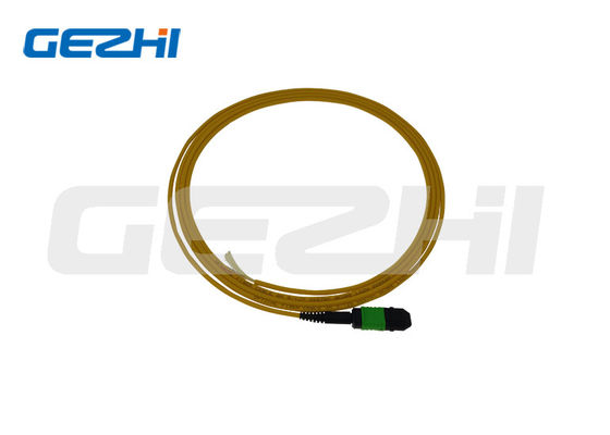 SM 9/125 Mpo Lc Fibra óptica Pigtail Patchcord con y longitud personalizada