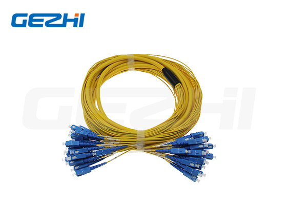 12 núcleos SingleMode Indoor Fiber Optic Patch Cord con conector SC