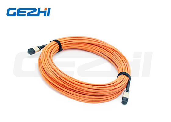 24F MPO (Femina) - MPO (Femina) 3,0 mm LSZH Cordón de parche de fibra óptica / cable del tronco